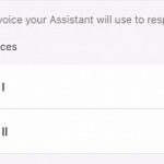 google-assistant-now-has-a-male-voice-as-well.png