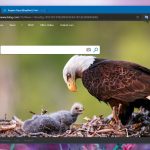 how-to-report-a-dangerous-website-in-chromium-microsoft-edge-526465-2.jpg