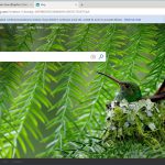 microsoft-adds-tab-freezing-feature-to-microsoft-edge-browser-527914-2.jpg