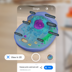 Google-Search-adds-3D-skeleton-and-other-AR-models-video.png