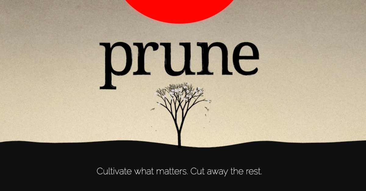 Дзен на ios и android. Prune перевод.