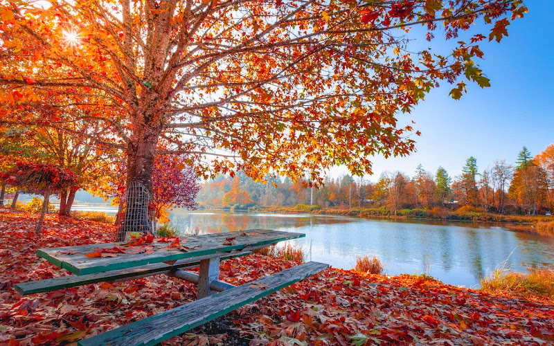 Empty bench