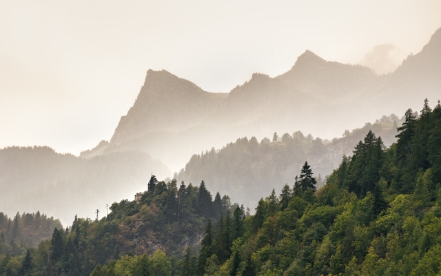 Mountains trees fog