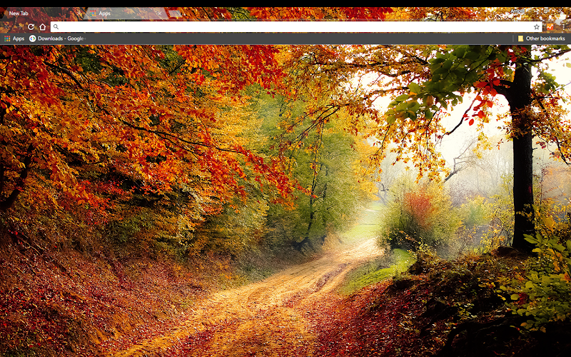 Peaceful autumn road