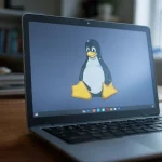 Enable linux on chromebook