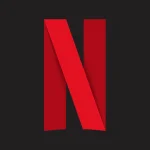 Official netflix logo