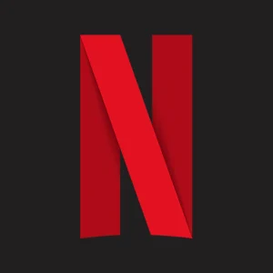 Official netflix logo