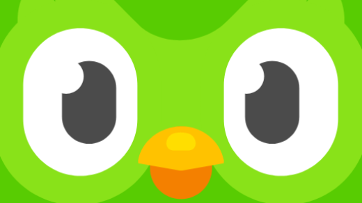 Duolingo logo