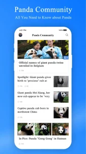 Panda community